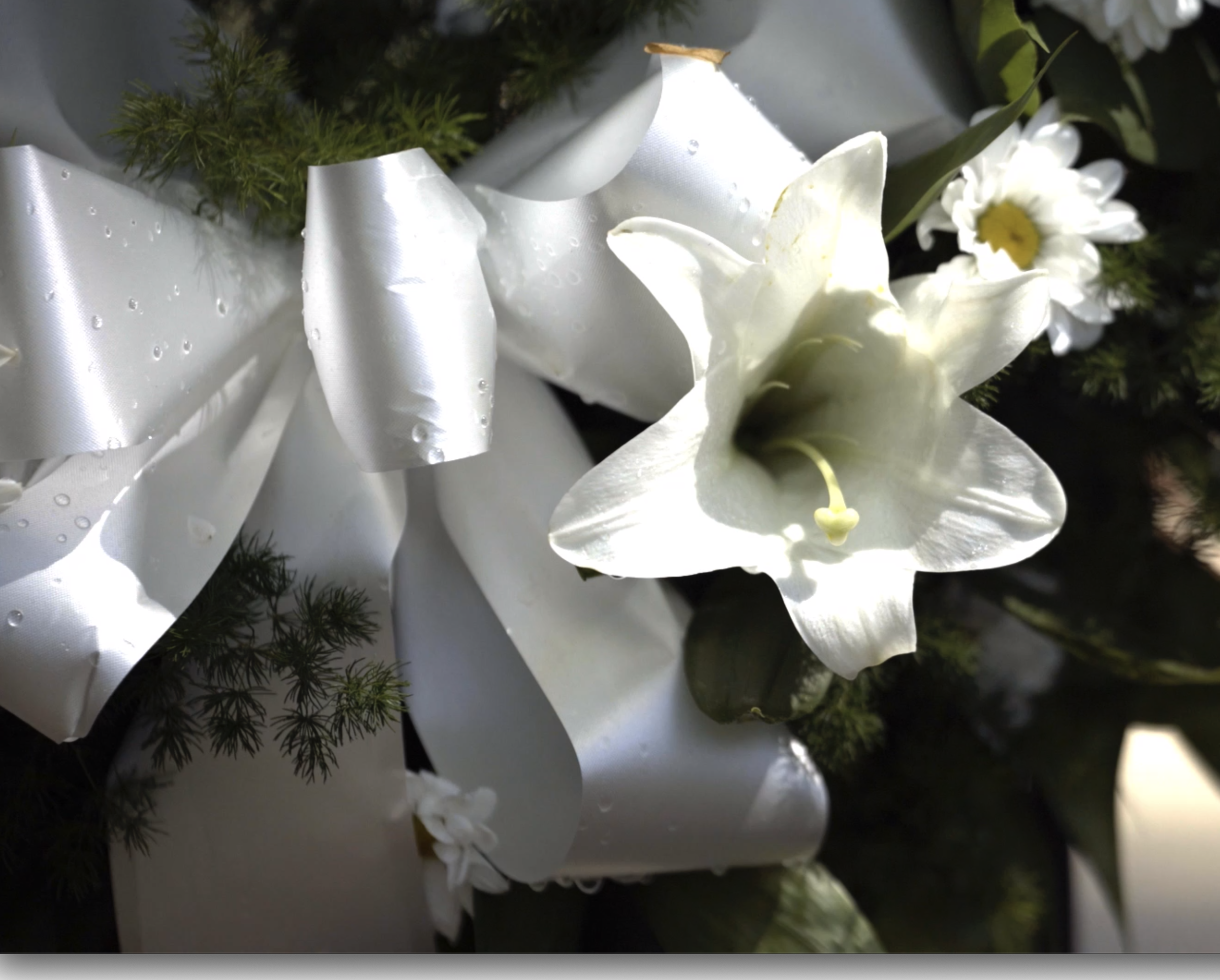 Easter Lily Tributes