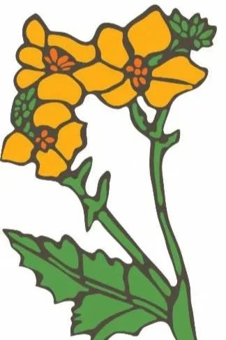 Fall Fellowship Groups