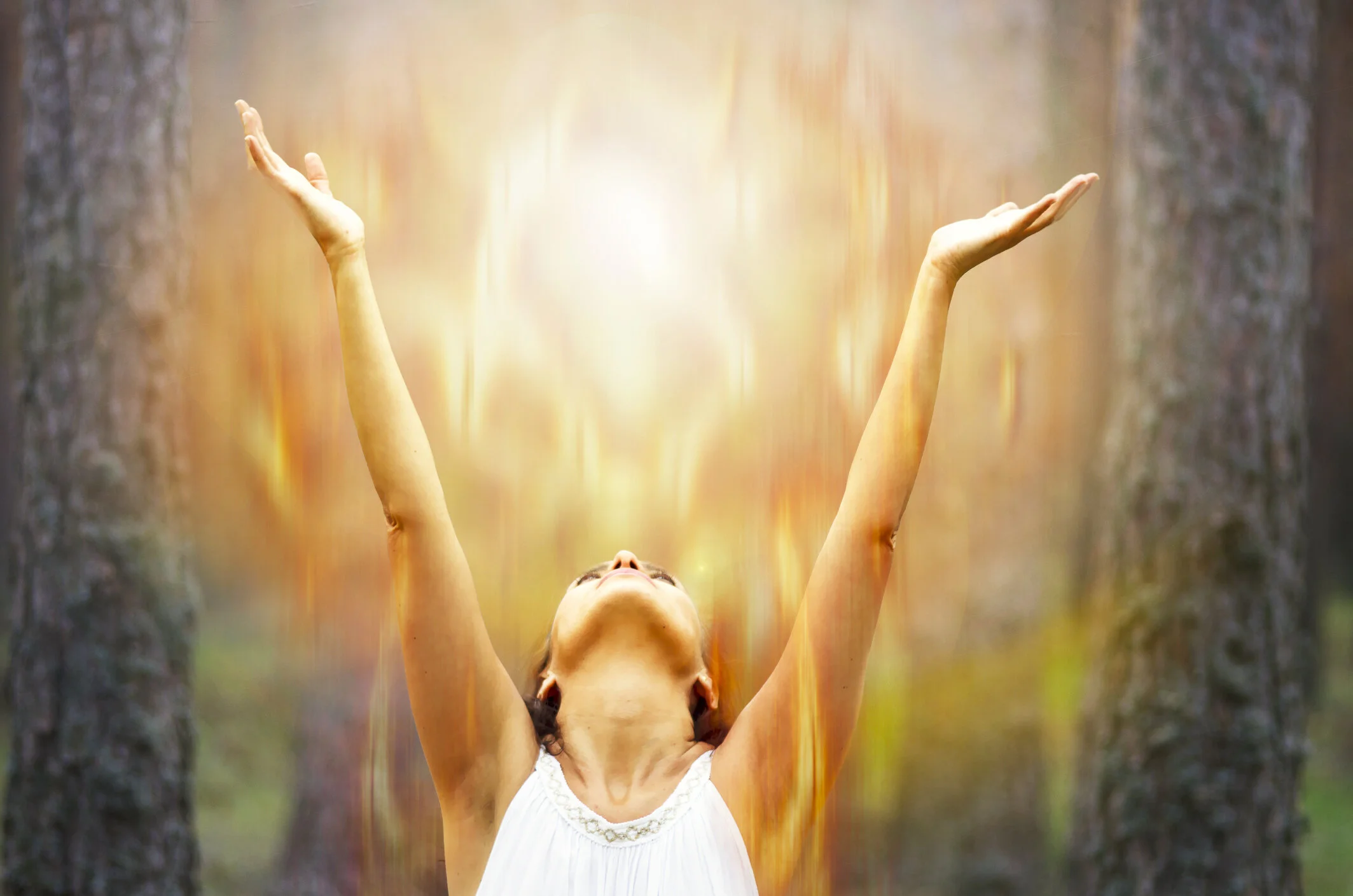 Lesson 4 - Guide Communication