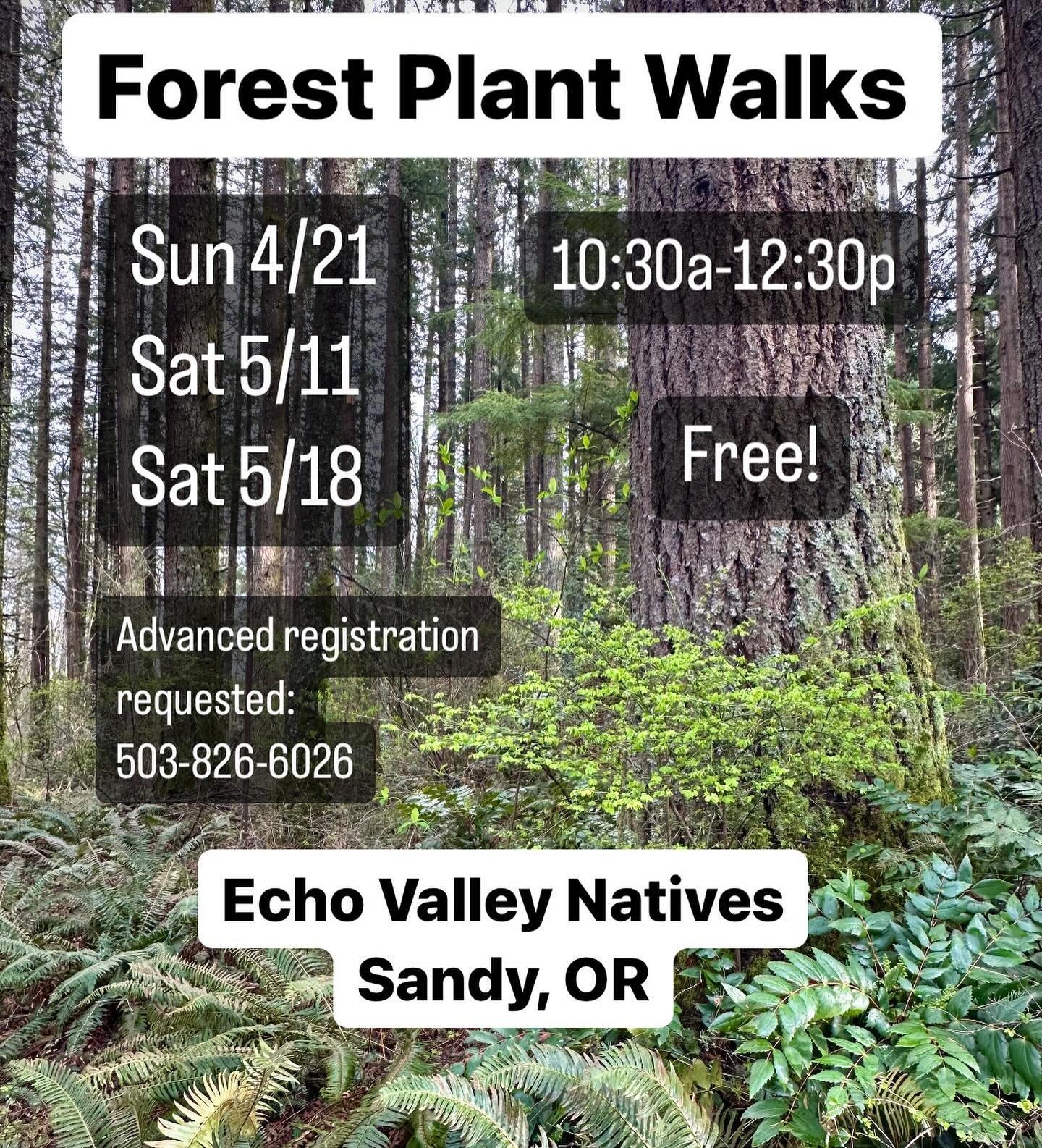 Come out &amp; take a stroll through the beautiful spring woods with us at Echo Valley Natives!

We are excited to offer FREE guided plant walks again this year through the forested trails on the back part of our nursery property, usually not open to