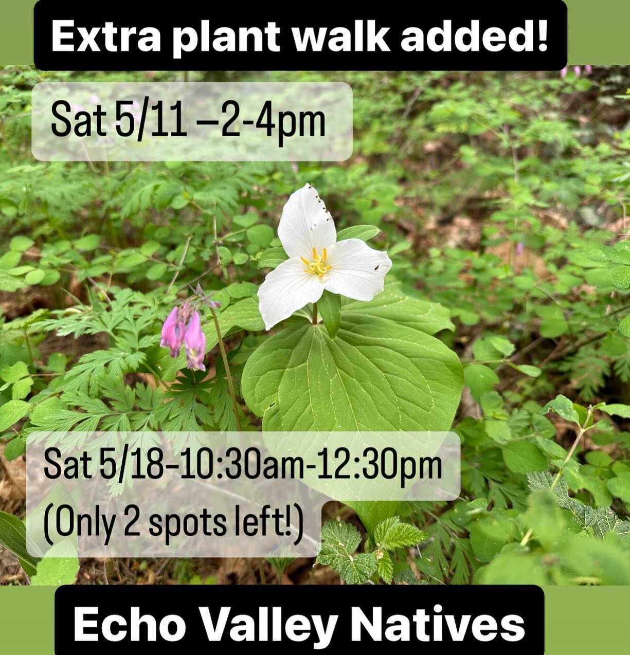 Thanks for the great response to our Forest Plant Walks! We have had so much interest that we have added an additional walk to the calendar:

Sat 5/11, 2pm-4pm
We currently have about 6 spots open for this afternoon walk (The 10:30 walk this day is f