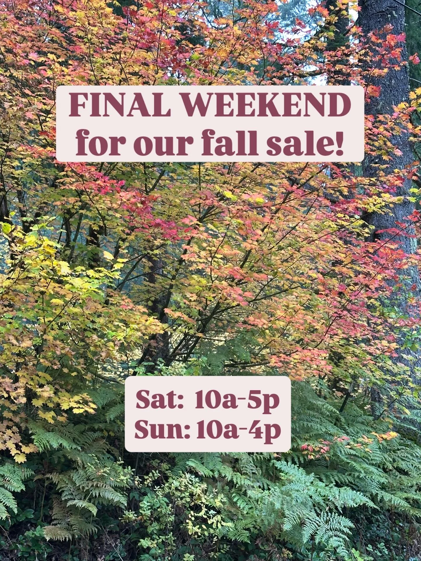 LAST CHANCE to access our biggest sale of the year!! 

This is the final weekend to shop wholesale prices on over 40 native plant species! The full list can be found on our website. 

The soil is rehydrating nicely after these fall showers&mdash;it&r