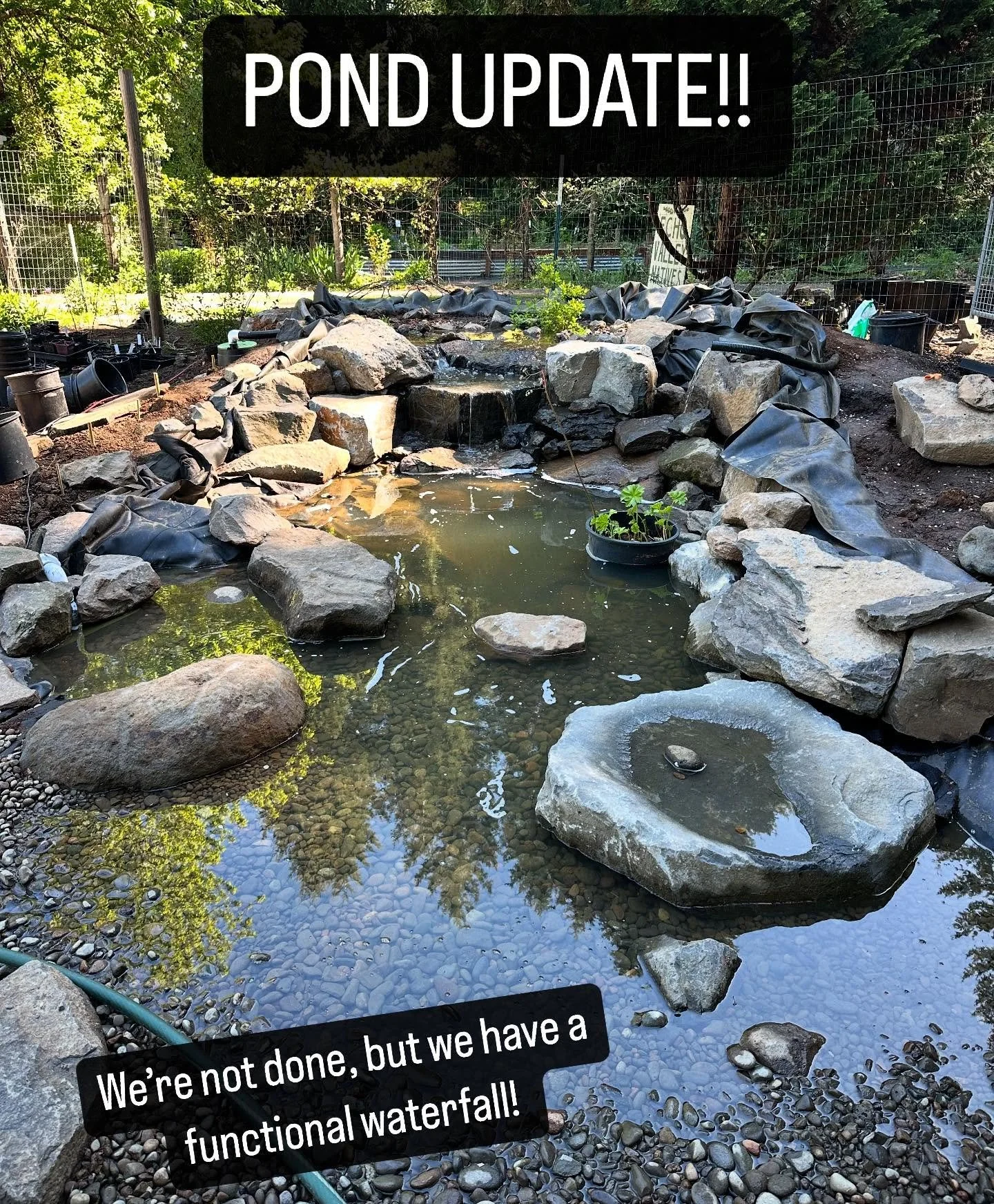 Spring is a busy time in the nursery world, but we&rsquo;ve been chipping away at our pond project when we find the time. And now we&rsquo;re excited to finally have our waterfall up &amp; running! 

Previously this spring, visiting customers have se