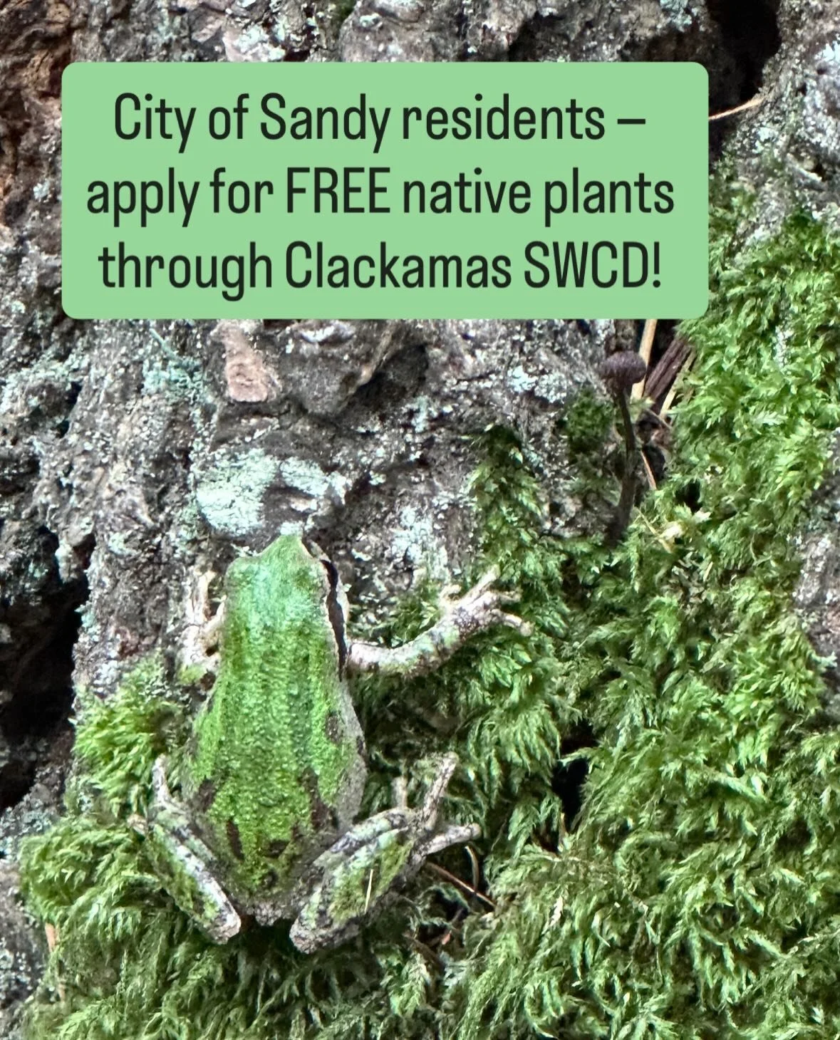 Where are our City of Sandy residents?? 

Check out this awesome opportunity to get FREE native plants through Clackamas Soil &amp; Water Conservation District! 

If you live within the Sandy city limits under 3 acres, you can quickly fill out a form