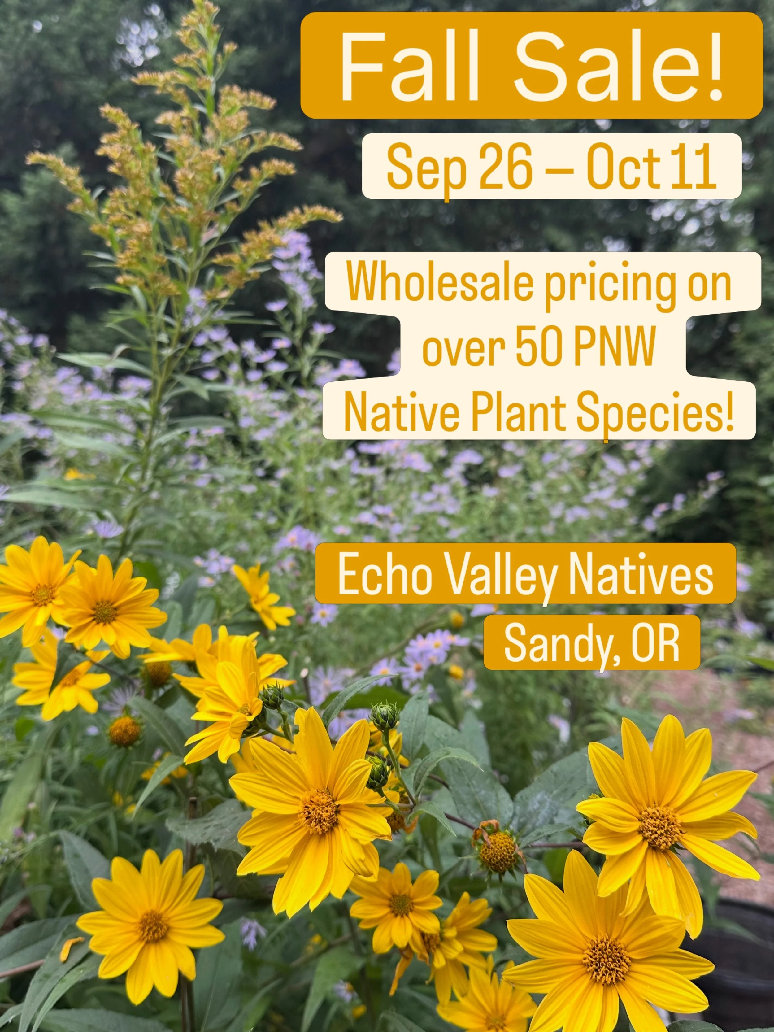 We&rsquo;re back with our third annual Fall Sale, and dare we say it&rsquo;s our best one yet!

Echo Valley Natives turns 25 this year (Beth started the nursery back in 2001!), and this fall marks the 5 year anniversary in our new space in Sandy.  So