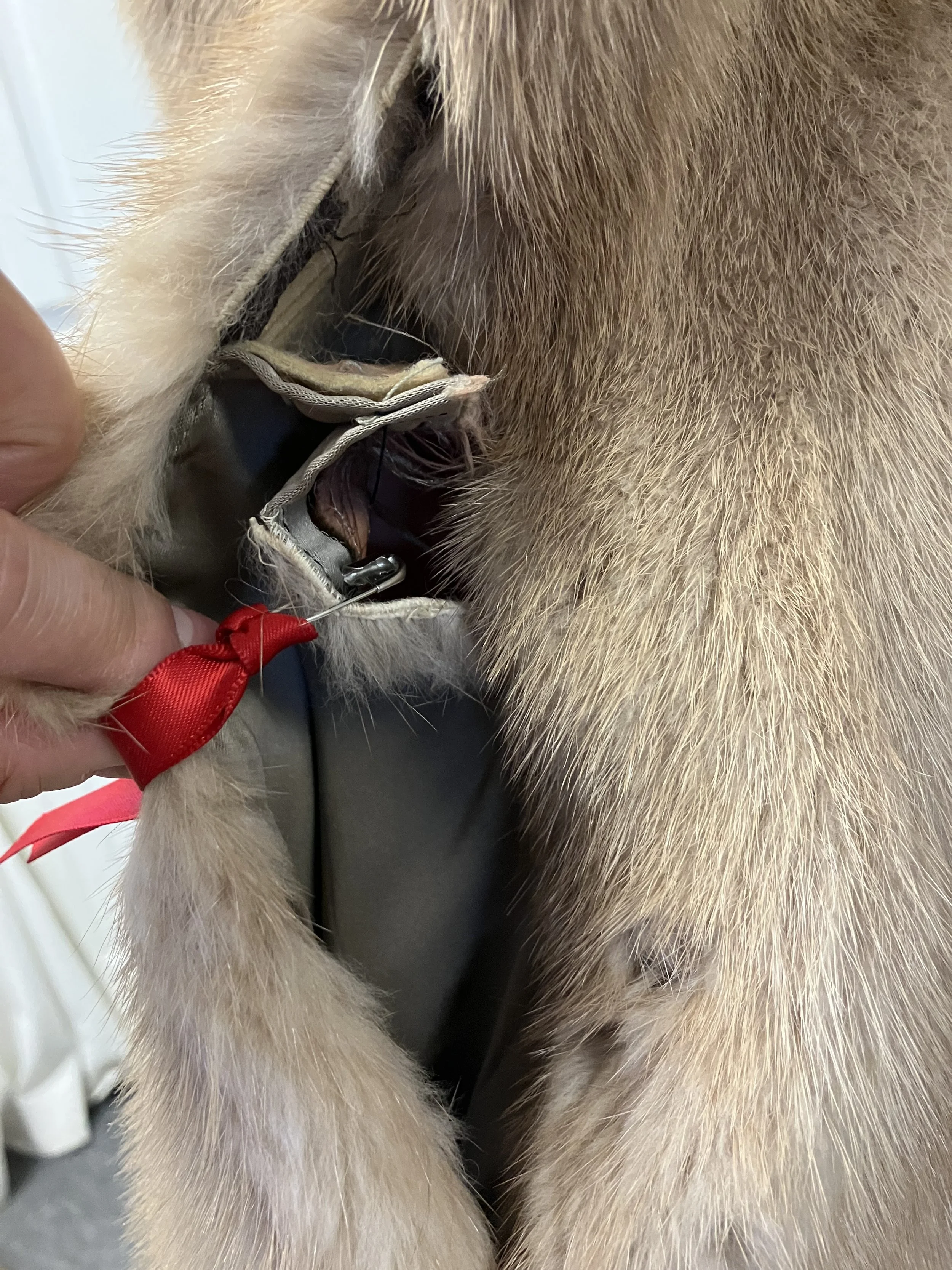 Stay Warm & Stylish This Winter with Elie’s Alterations!