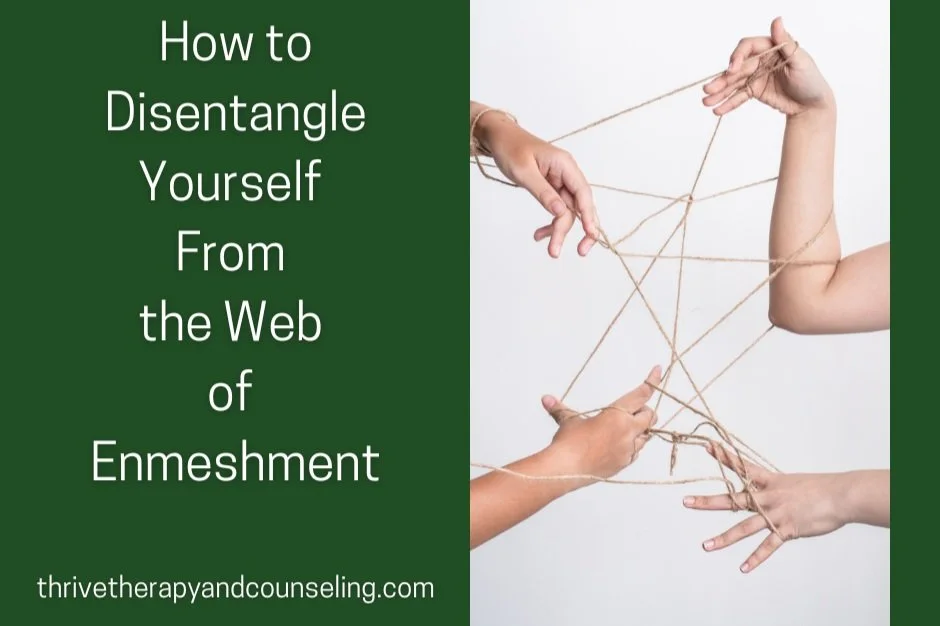 How to Disentangle Yourself From The Web of Enmeshment