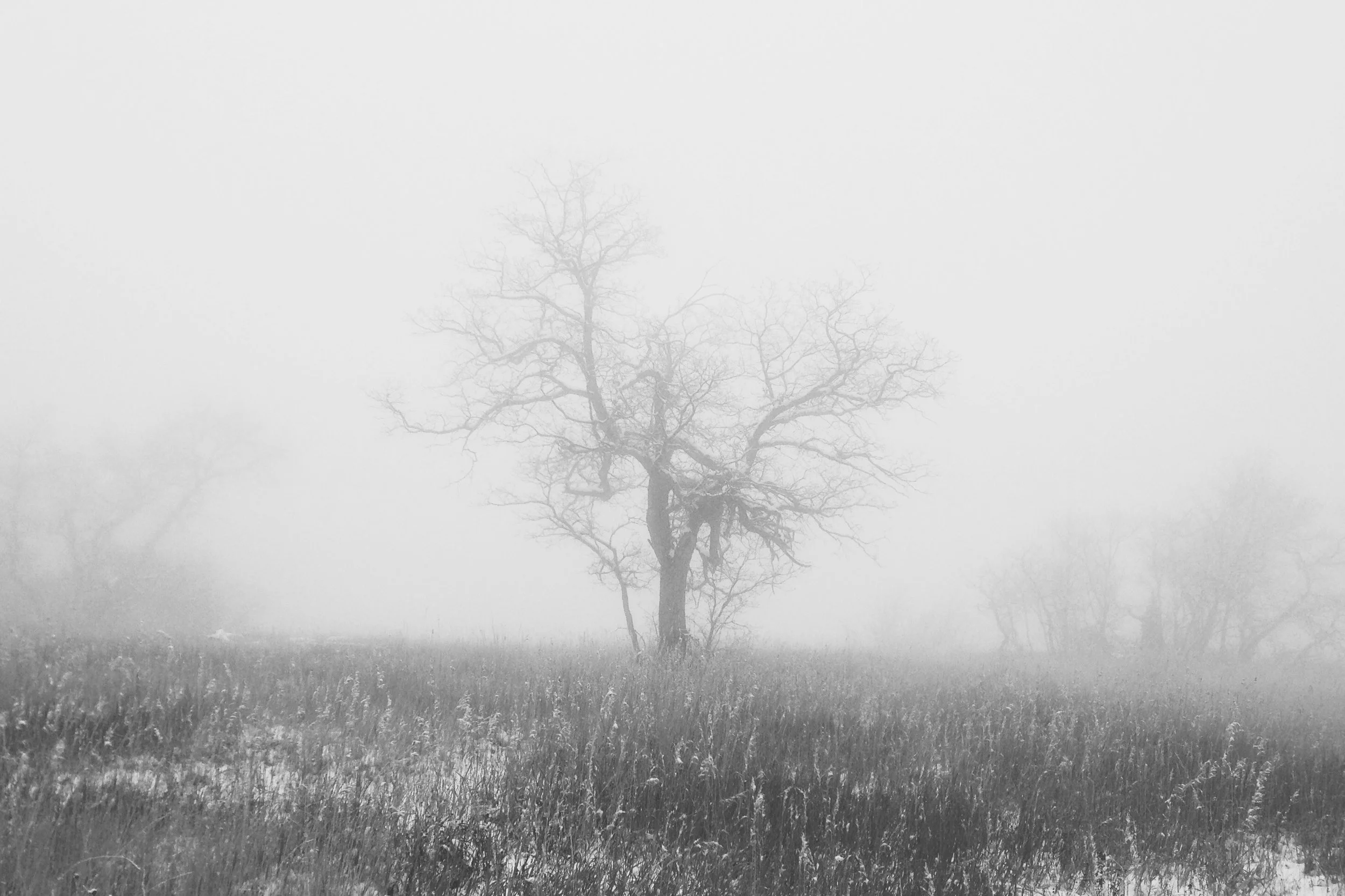 How To Make a Difference in The World