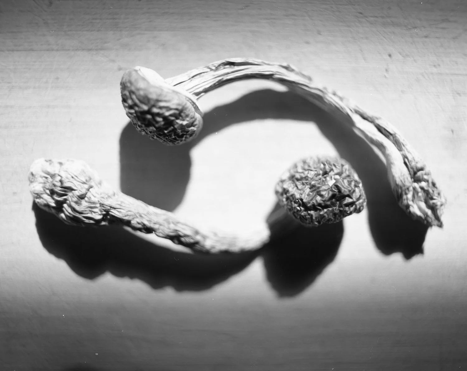 Against Michael Pollan and The Psychedelic Renaissance