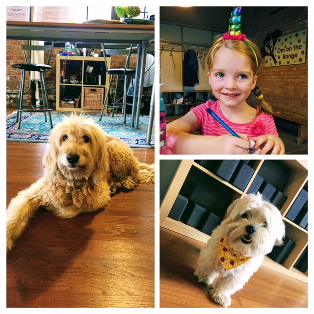 image1.jpeg