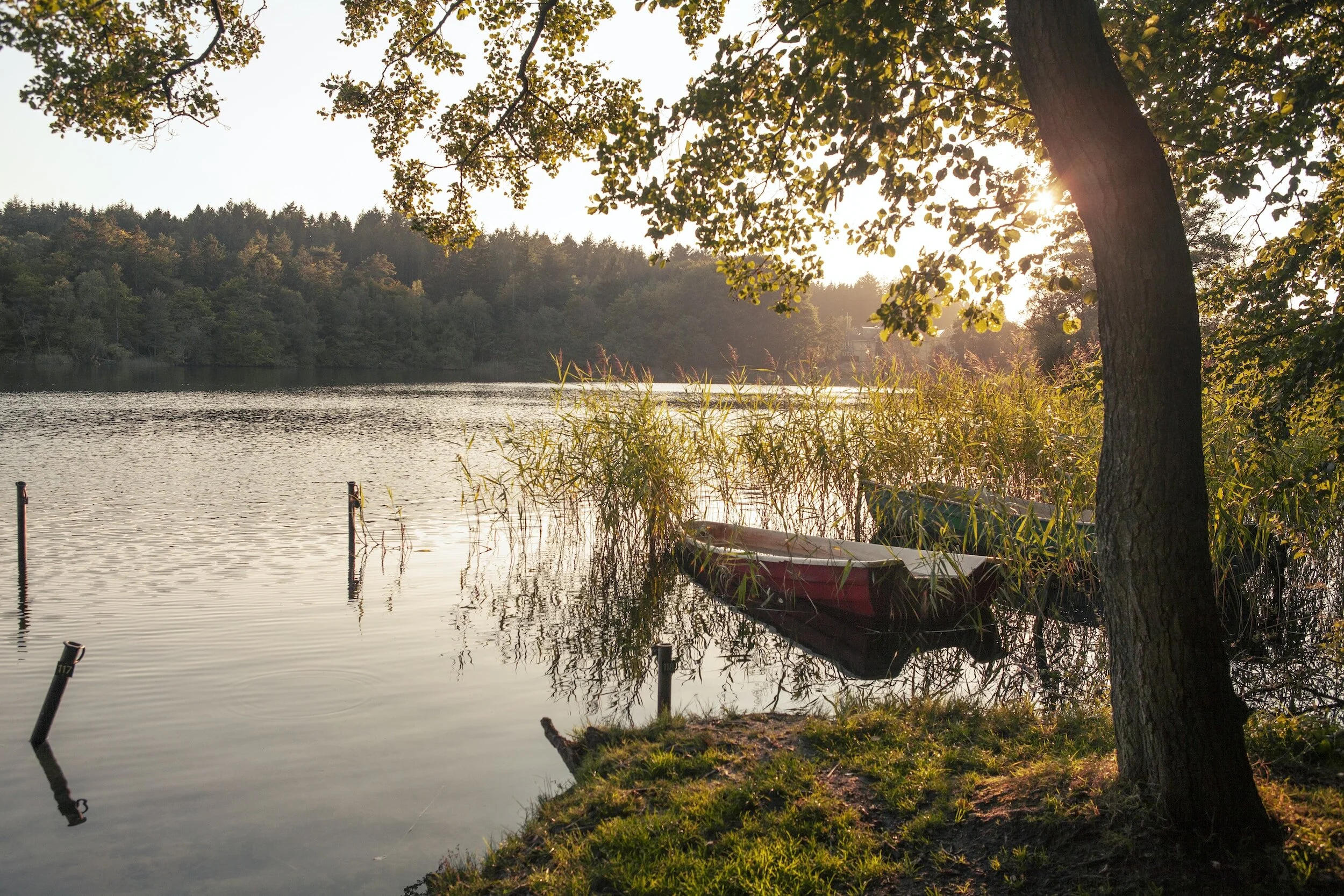 September 2023 Jordan Times