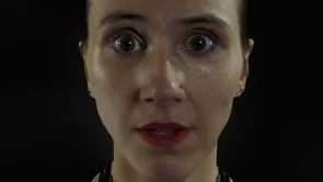 "You Won't Hear This In The Hyatt Elevator" - The Professors