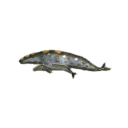 0038pin.png