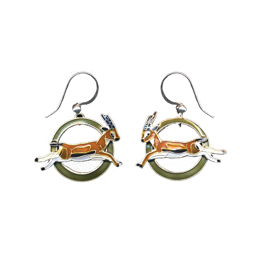 0160earrings.png