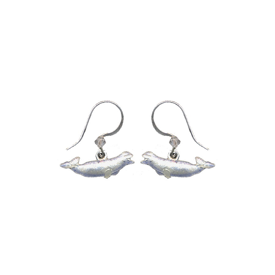 0043earrings.png