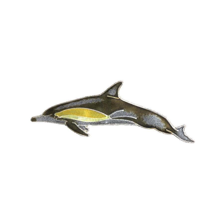 0042pin.png