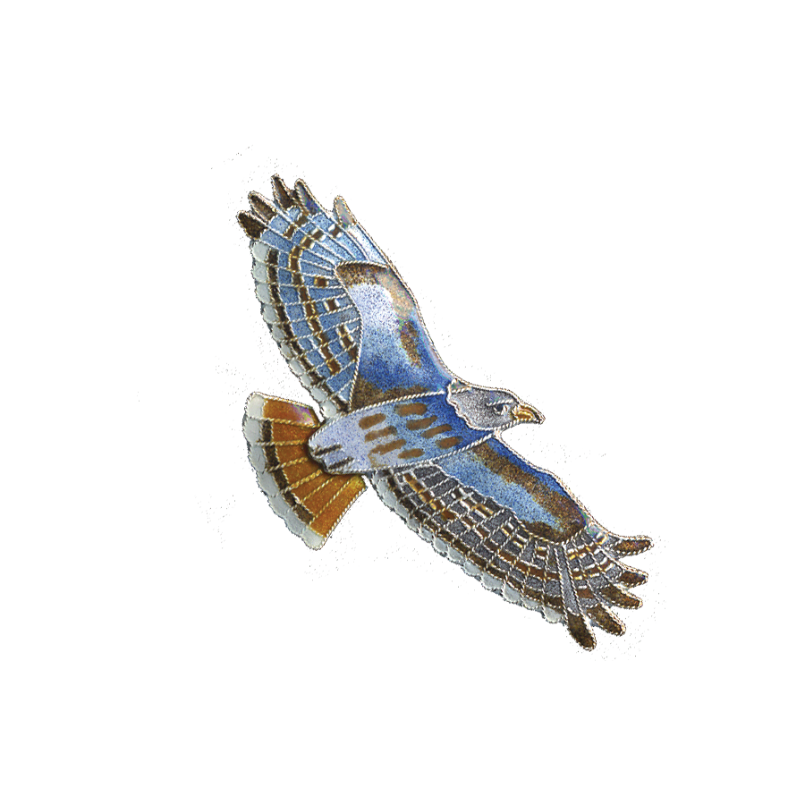 0096pin.png
