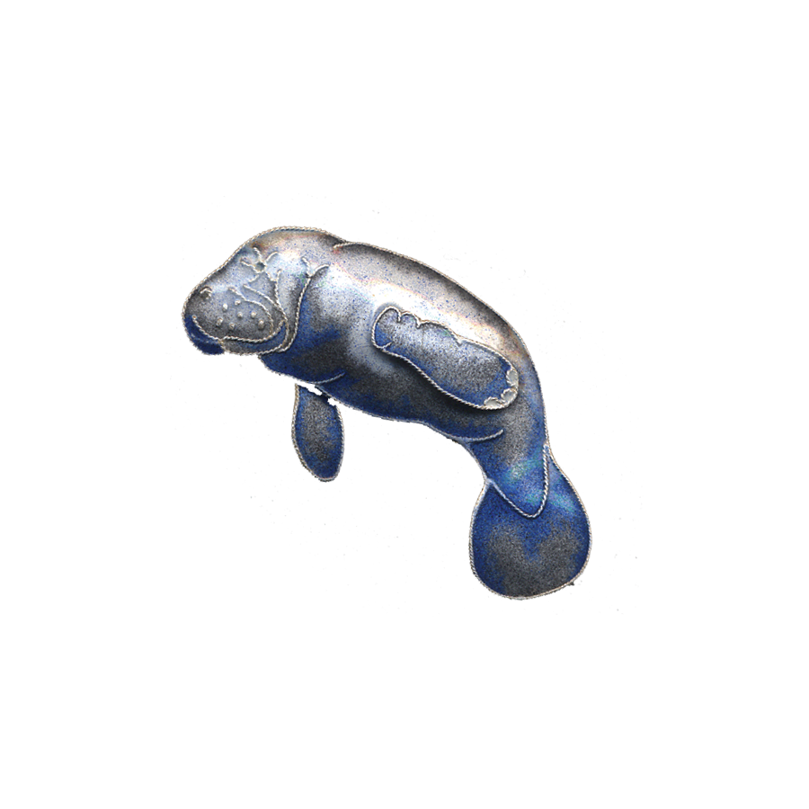 0130pin.png