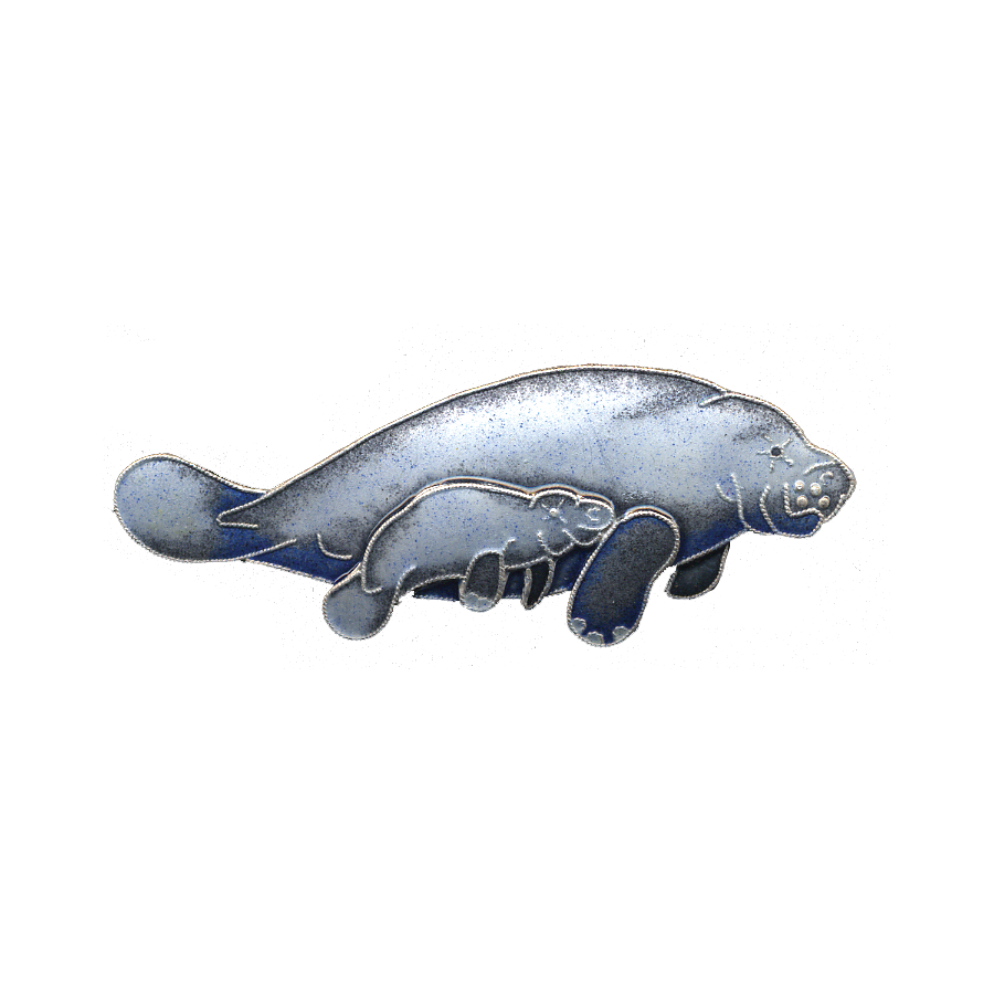 0131pin.png