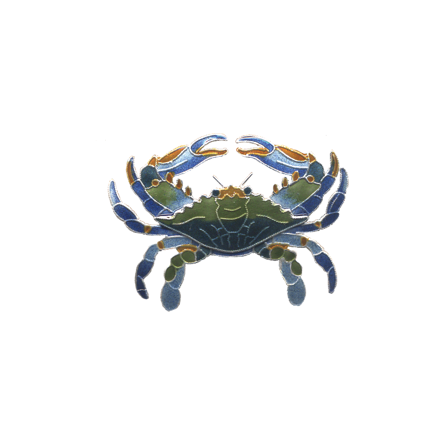 0221pin.png