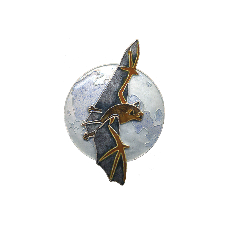 0126pin.png