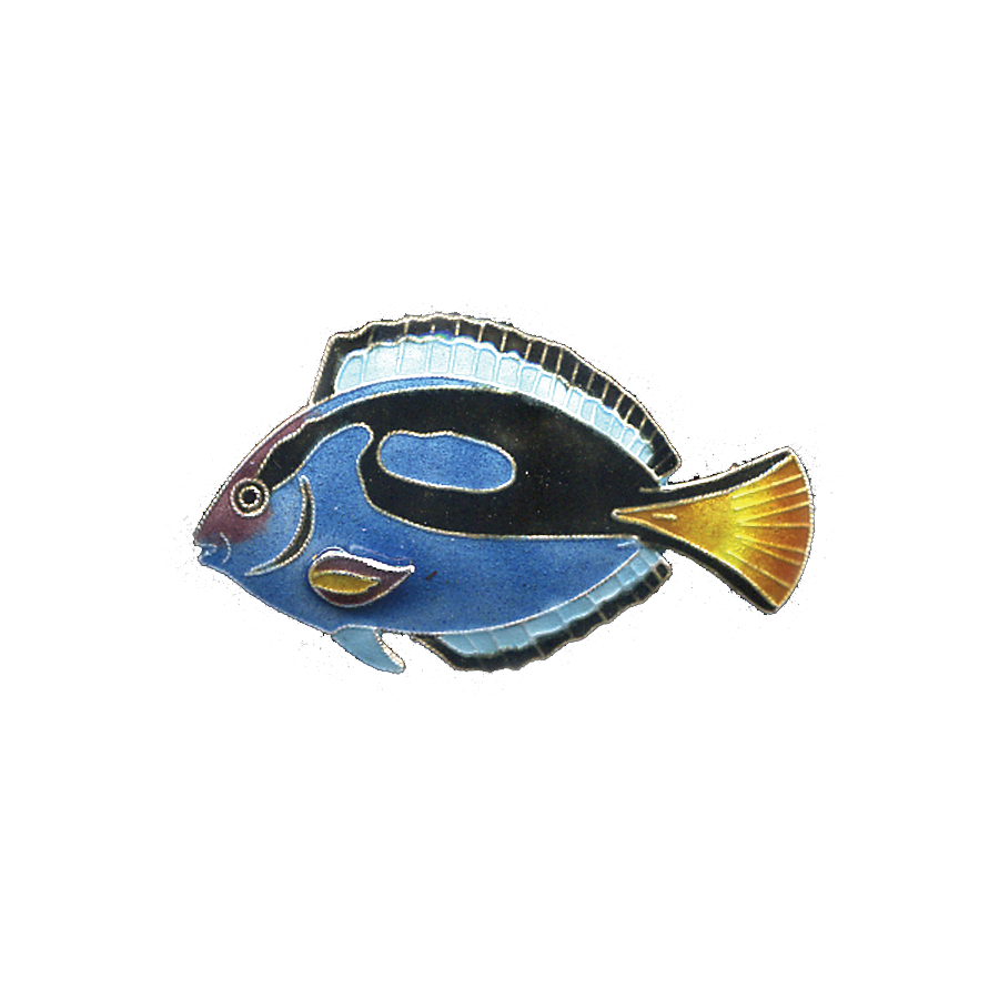 0089pin.png