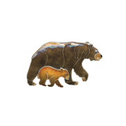 0180pin.png