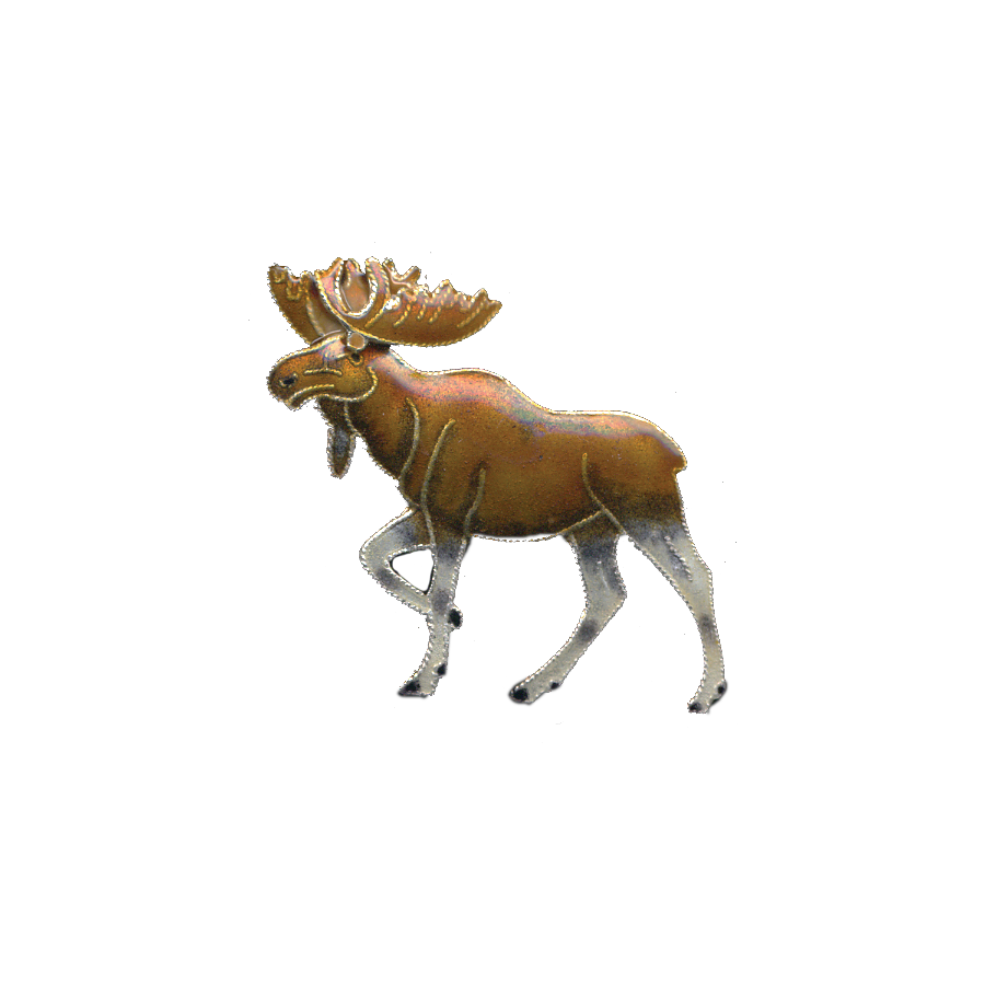 0019pin.png