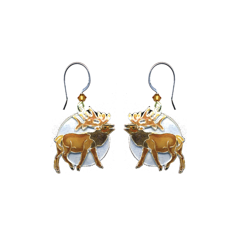 0165earrings.png
