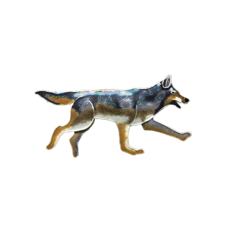 0070pin.png
