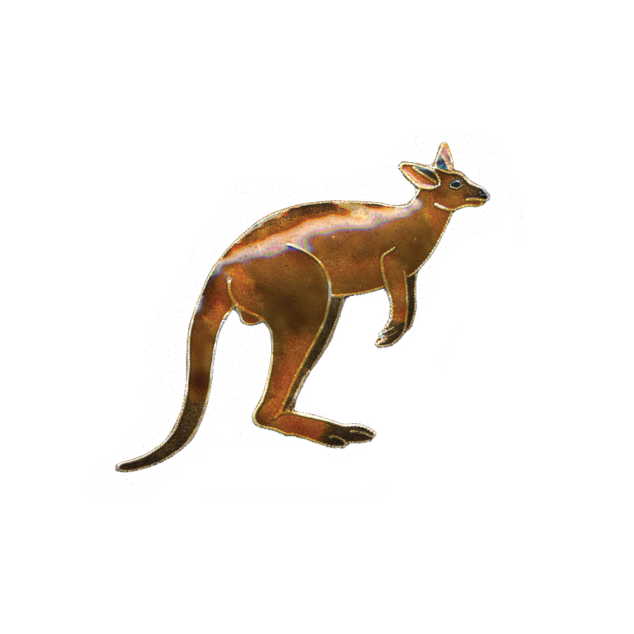 0161pin.png