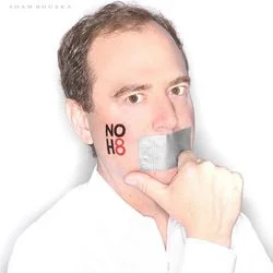 California 2012: Your Guide To Responsible Voting