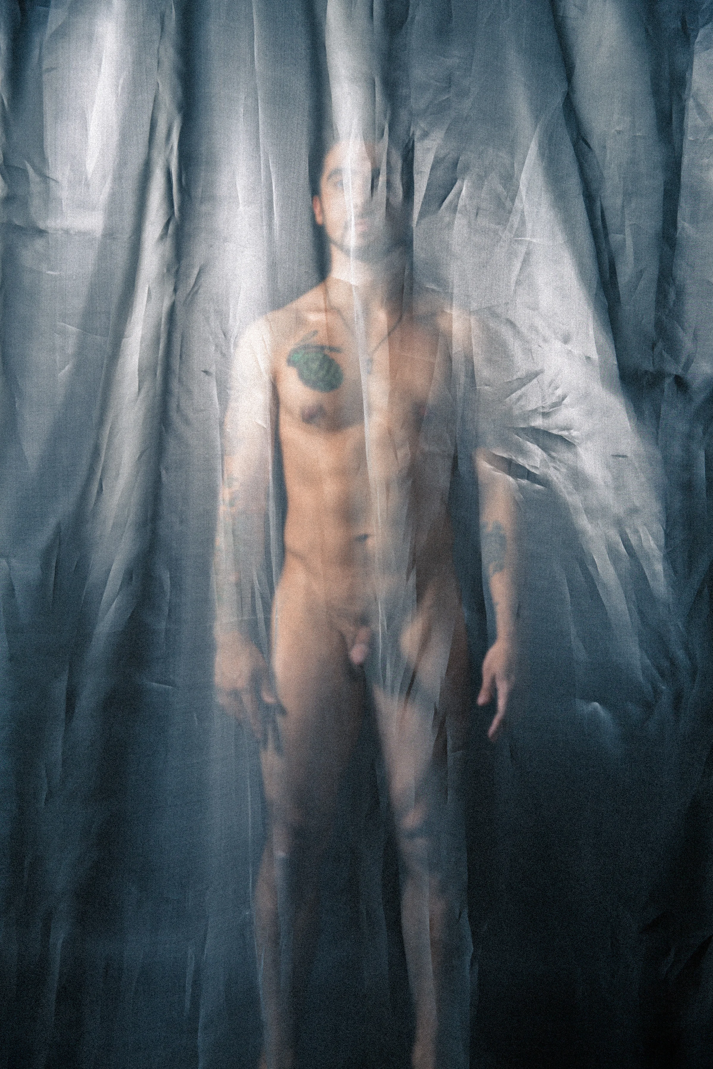 N. Veiled No. 2
