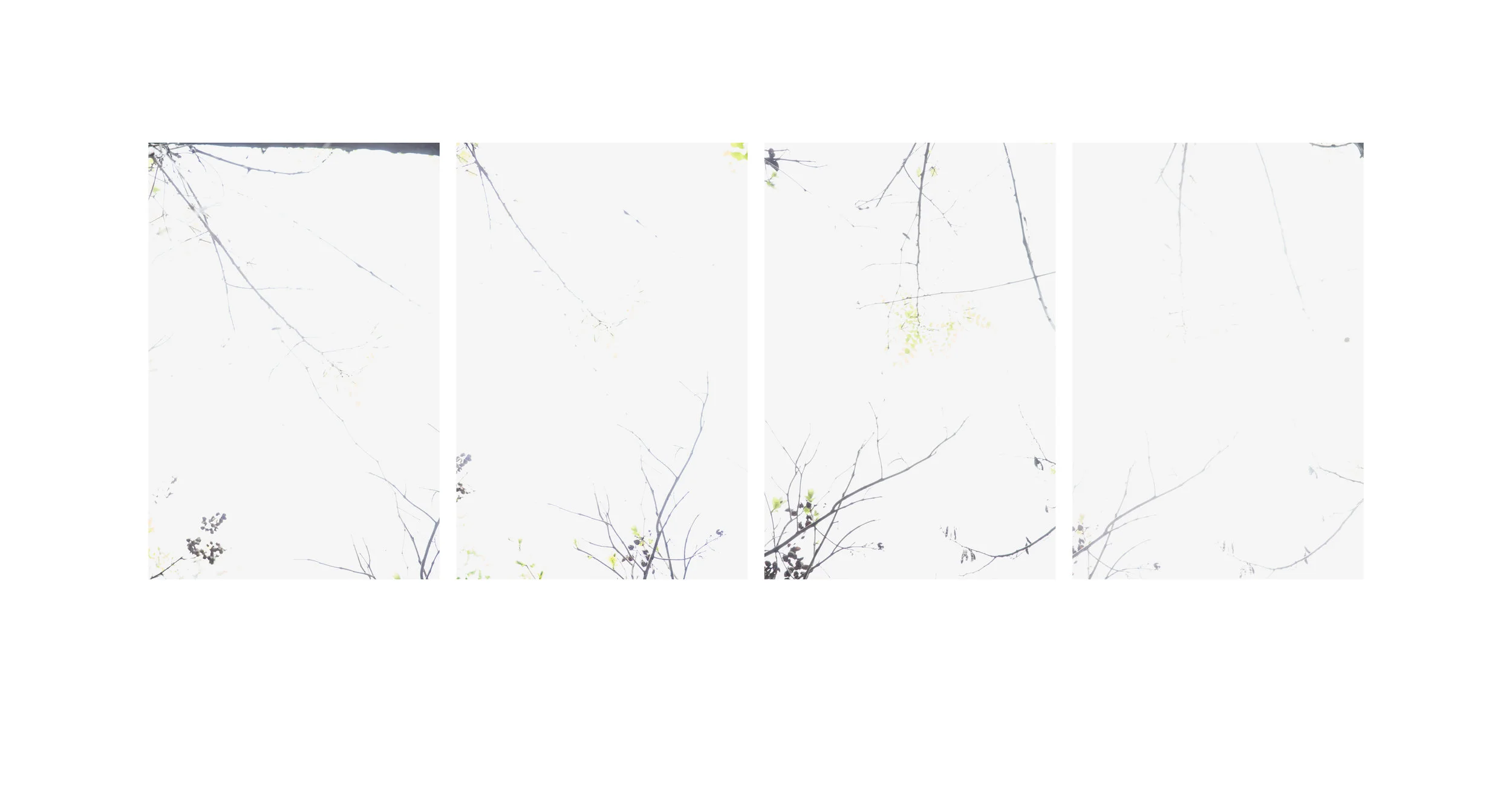 Branch Nos. 1-4 Multi-panel Scroll