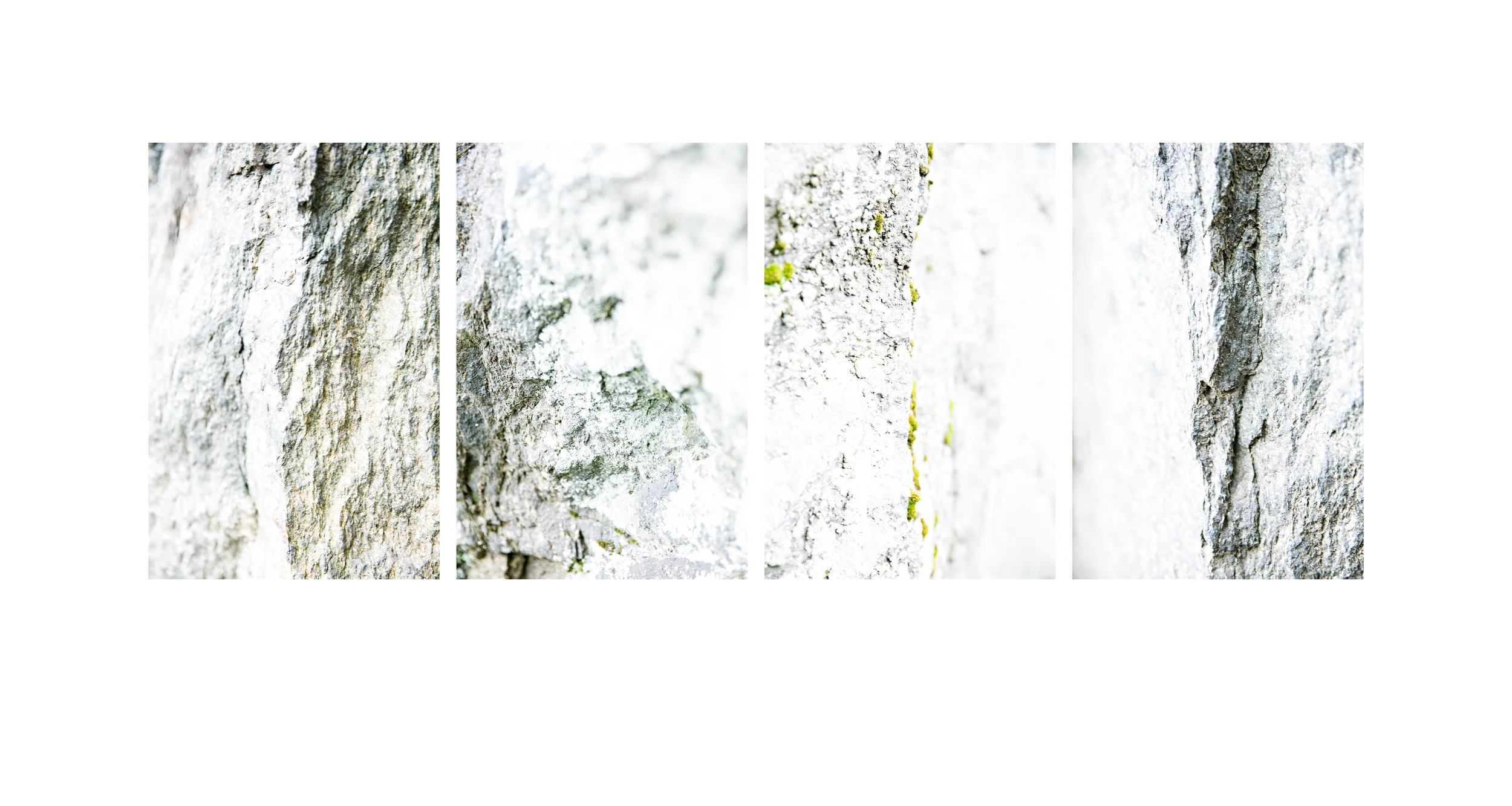 Stone Nos. 1-4 Multi-panel Scroll