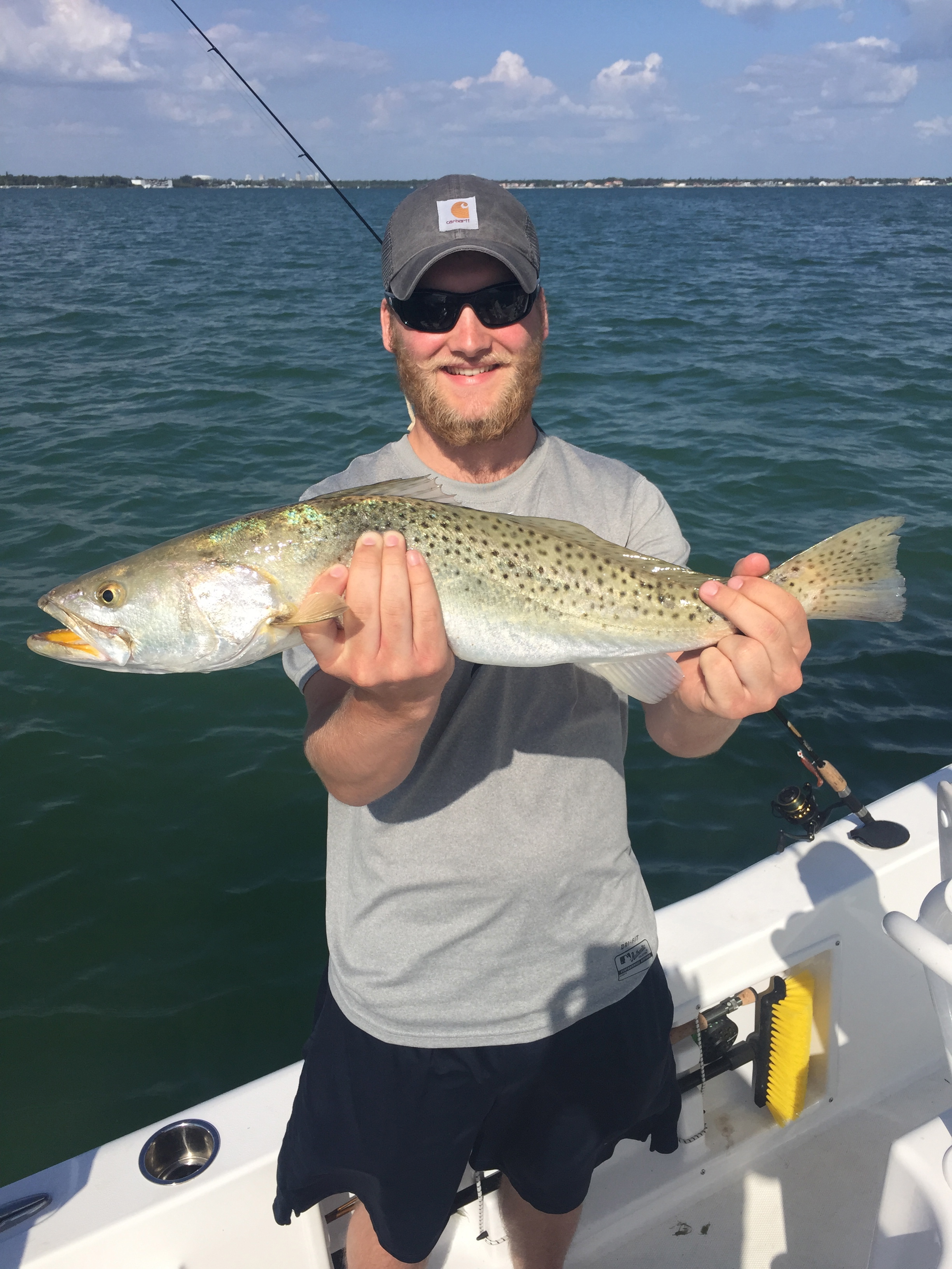 Speckled Sea Trout