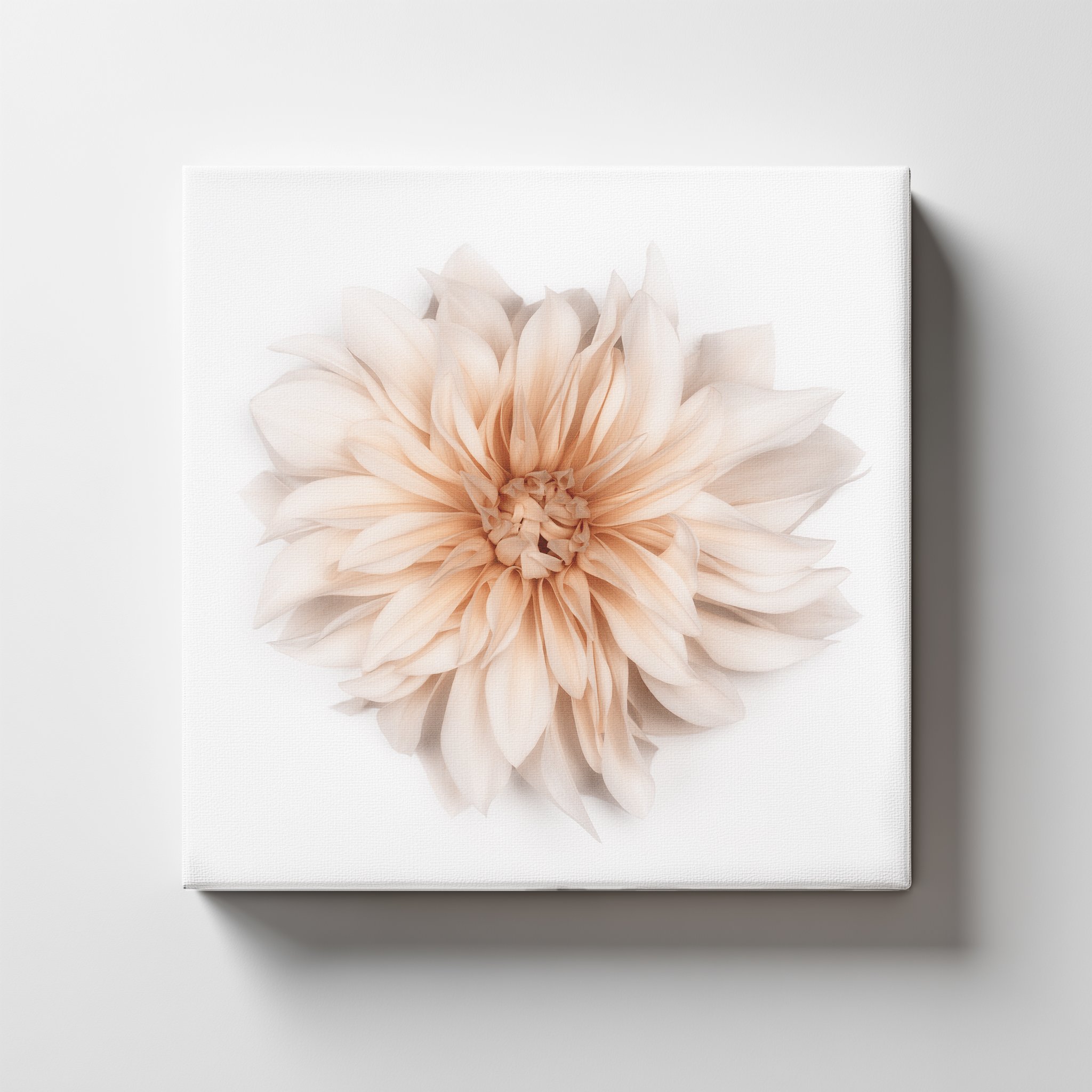 Cafe au Lait Dahlia