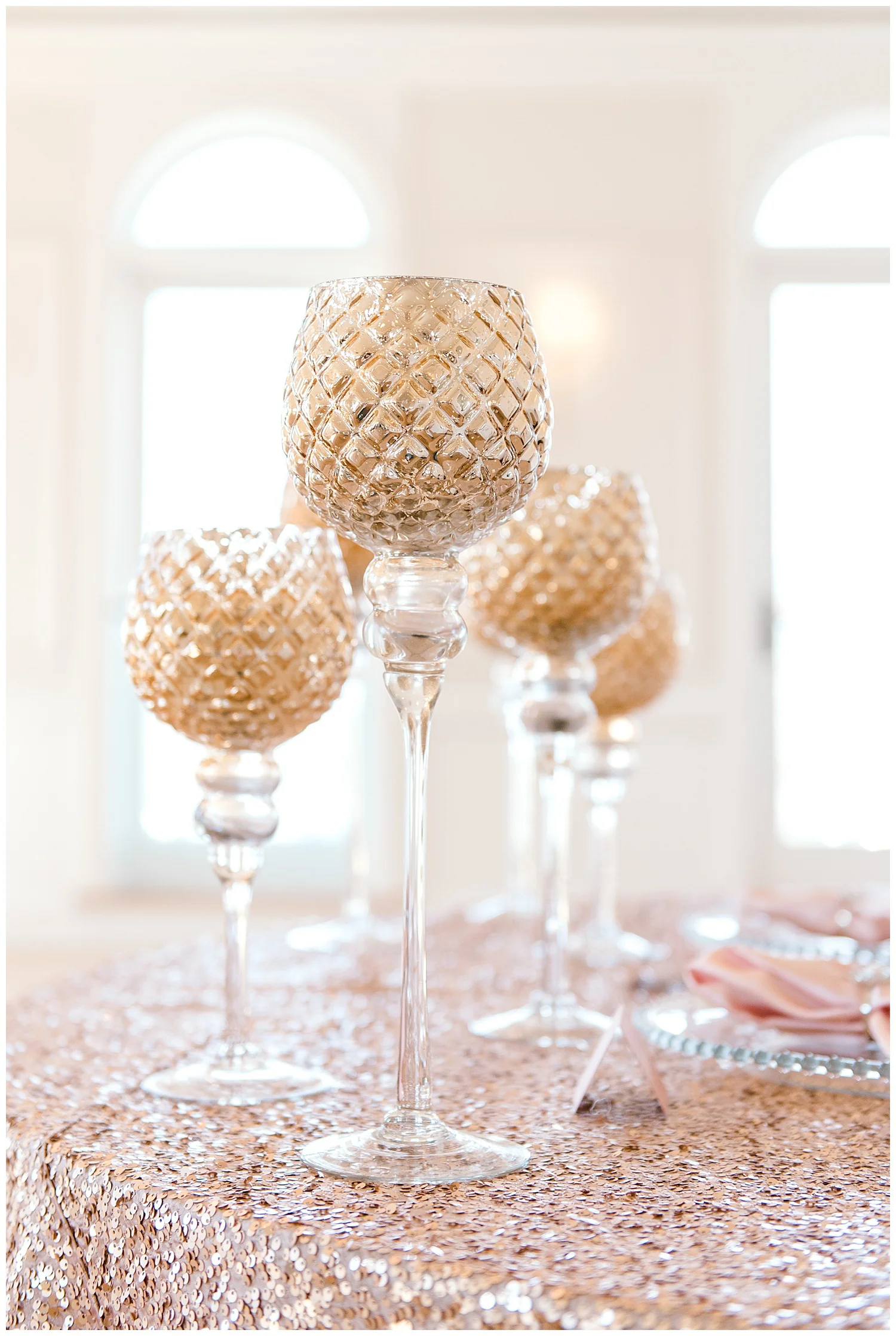 blush-ballerina-wedding-photography-newport-rhode-island-3.jpg