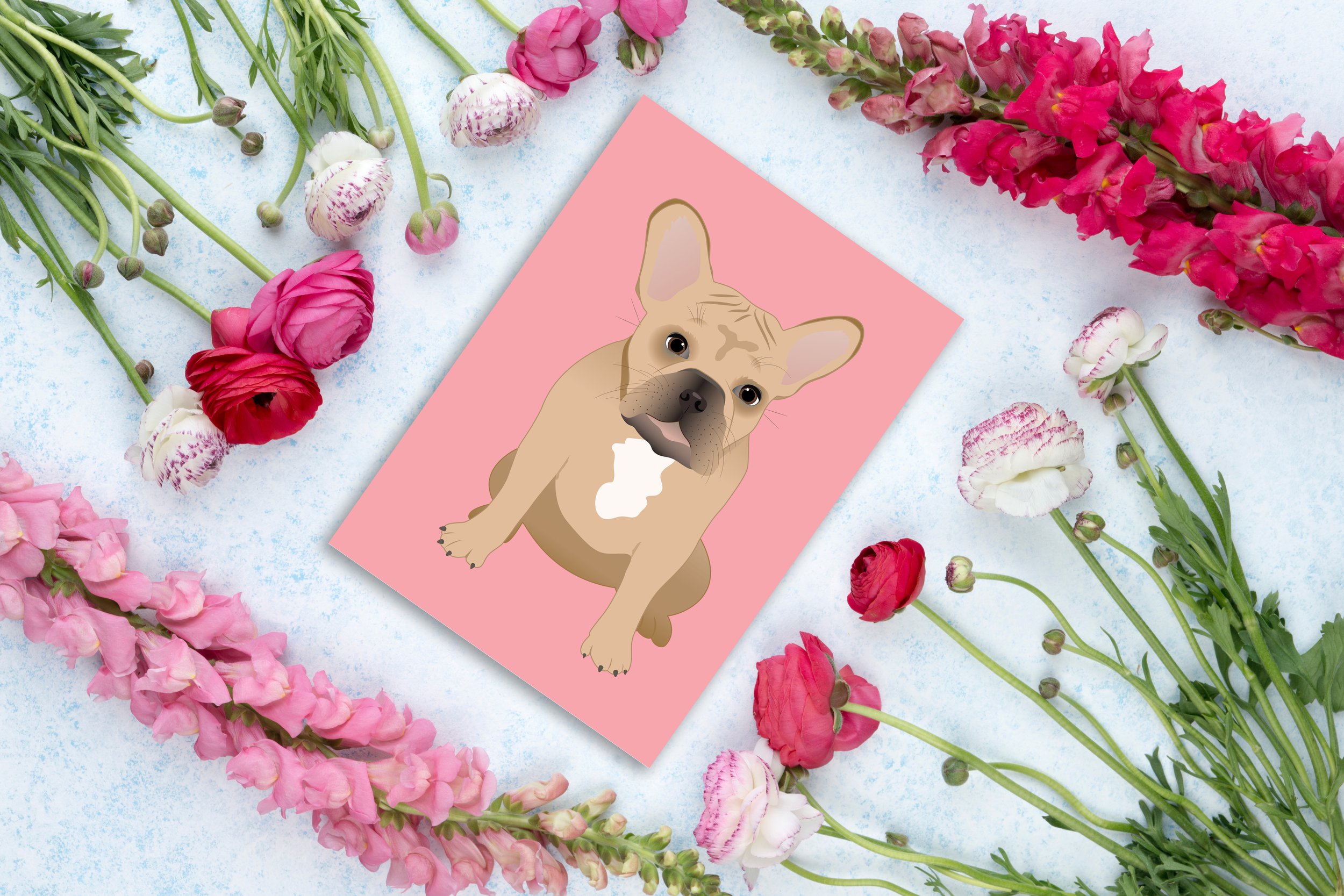 eloise-custom-pet-dog-illustrations.jpg