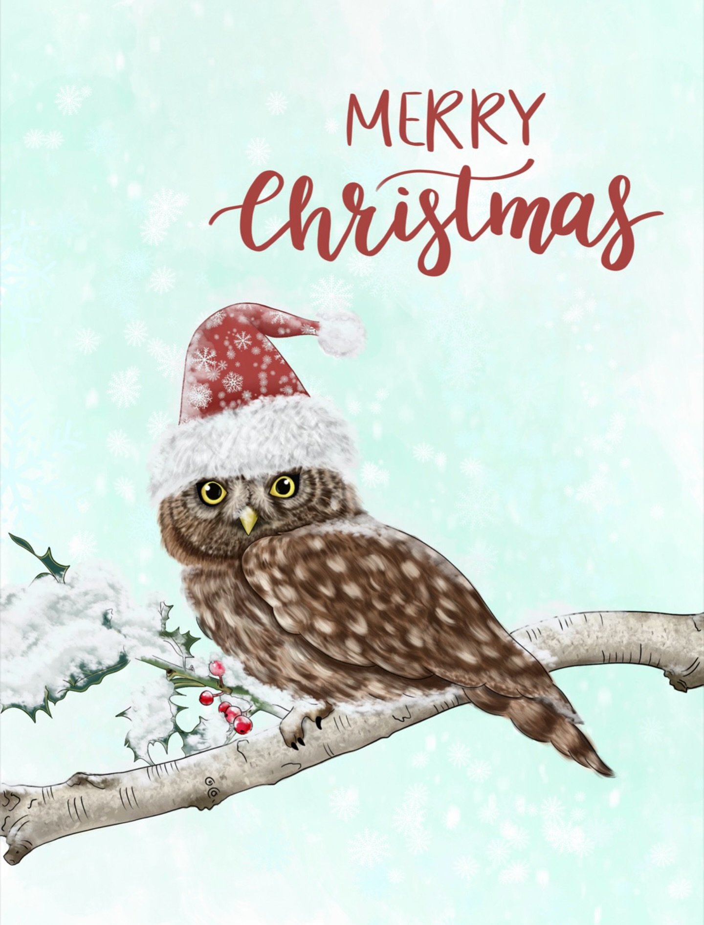 Have a very Merry Christmas!

#digitalartistsoninstagram #procreateart #floridaartiat #ocalafl #wildlifeart