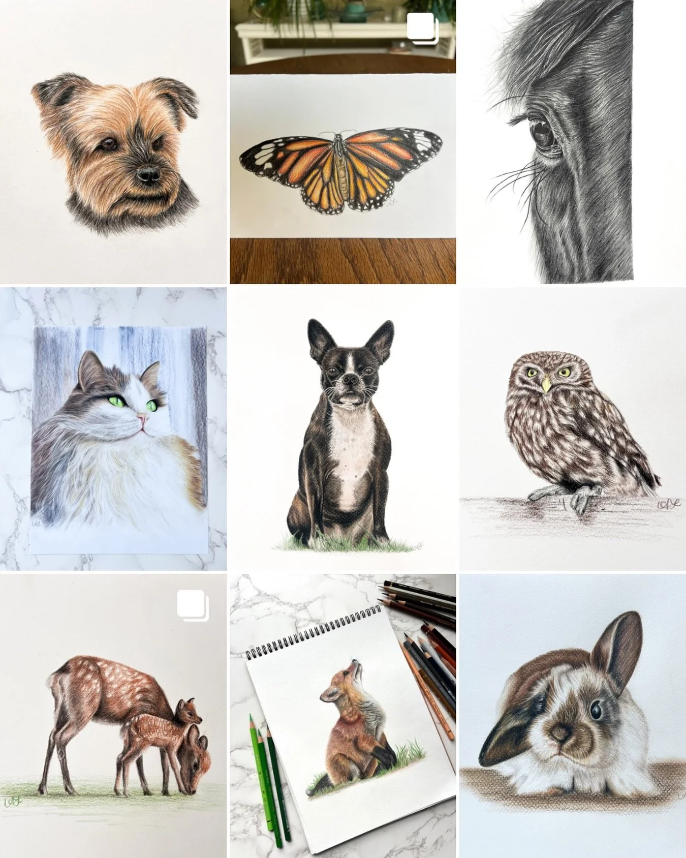 Art of 2025! I wish there was more but with getting my masters I was lucky to be able to dive into what I did!

Excited to grow and take on commissions in 2026! My fist 10 will be at a discounted rate, so DM me to get on my calendar!

#petart #petpor