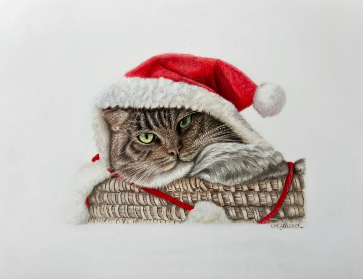 Christmas series complete! I know it&rsquo;s way past time but each of these detailed drawings can take 10-30 hours of work, plus I work full-time. 

Commissions can take 4-6 weeks
Mini portraits 2 weeks

My books are open and excited to meet your be