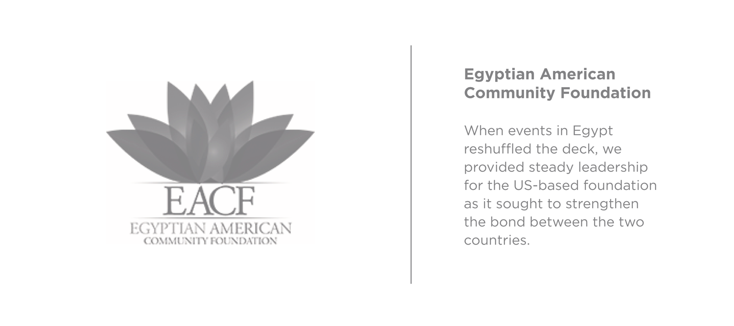 ASG-Egyptian-American-Community-Foundation.png