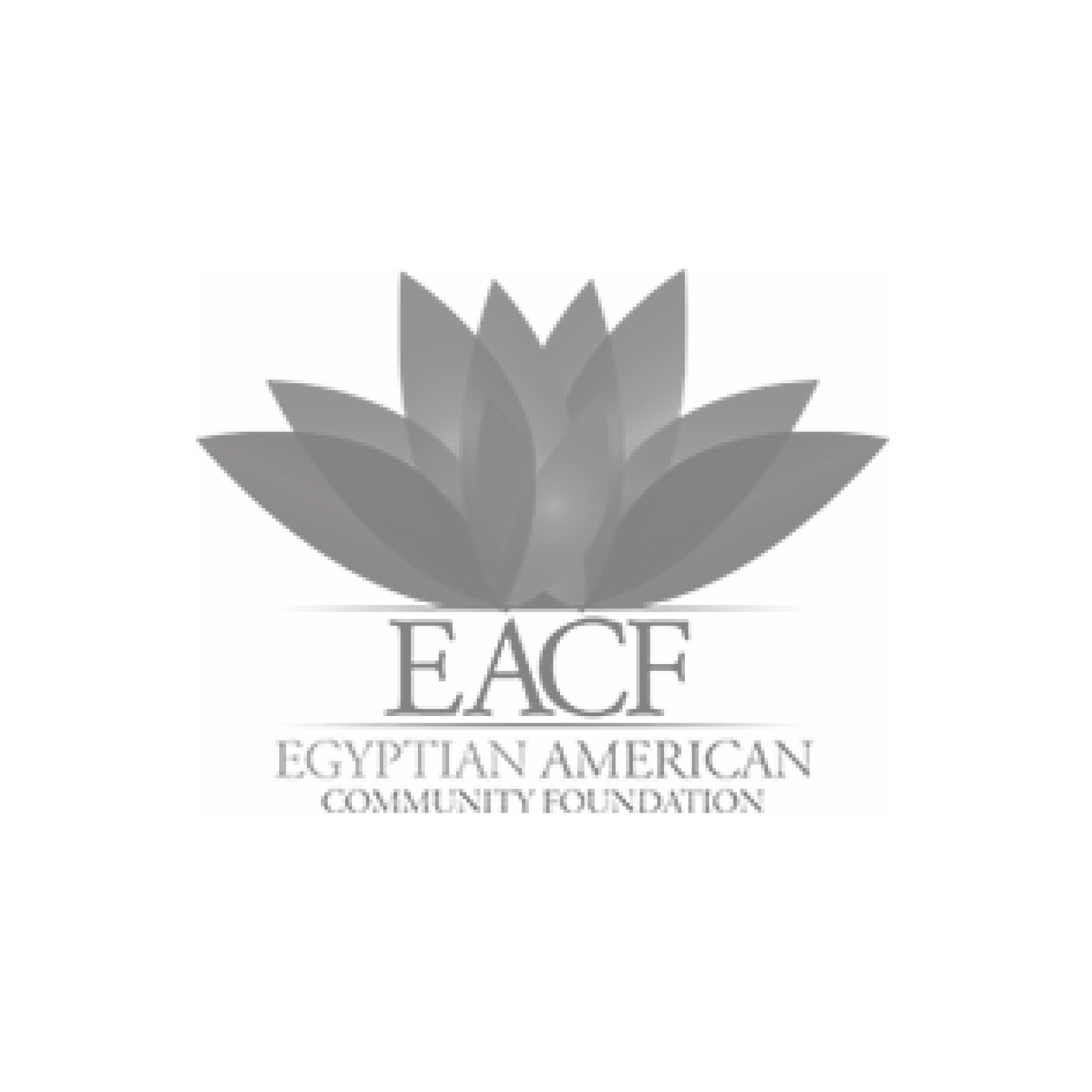 When events in Egypt reshuffled the deck, we provided steady leadership for the US-based foundation as it sought to strengthen the bond between the two countries.