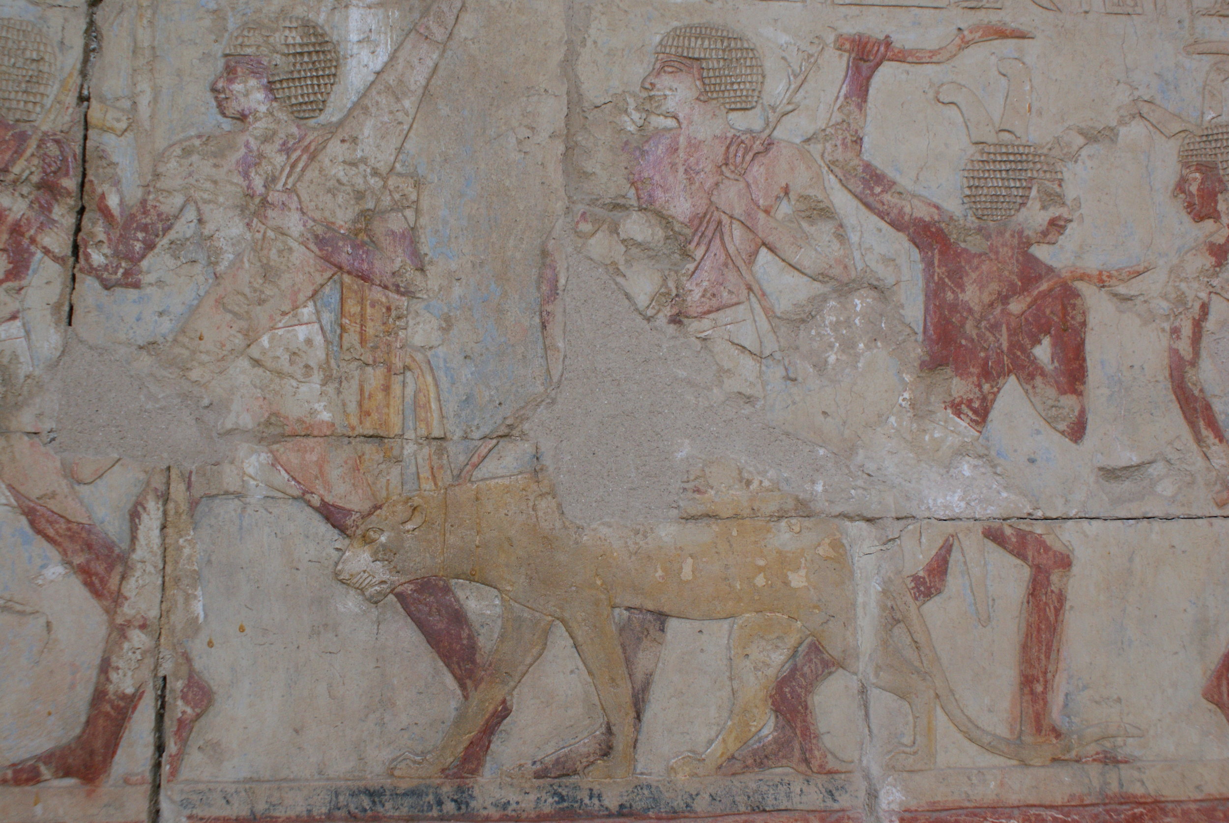 Photo of a leopard from the Hatshepsut's Temple. Photo provided by Filip Taterka