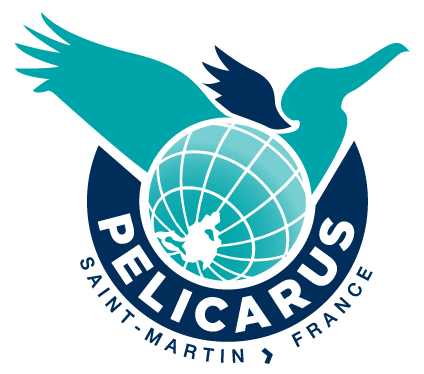 Pelicarus