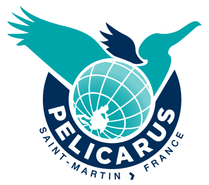 Peli_2Color_PMS_Tag1.png