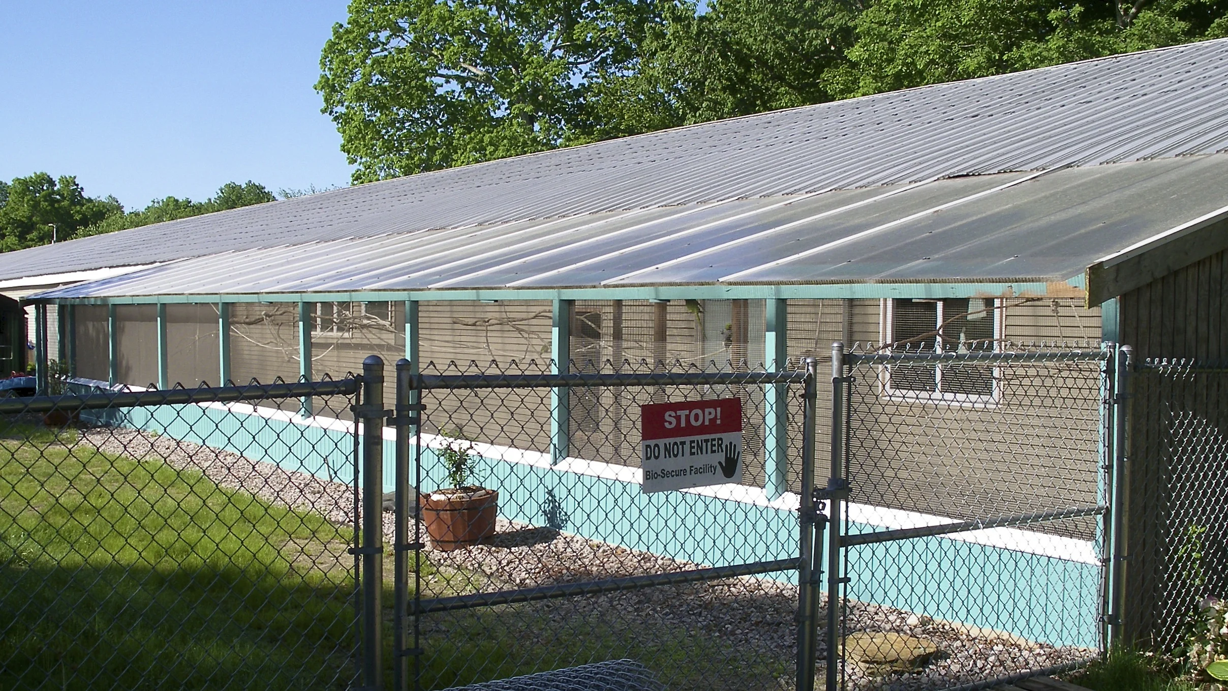 Foster Parrots - Sanctuary, June 2011.jpg