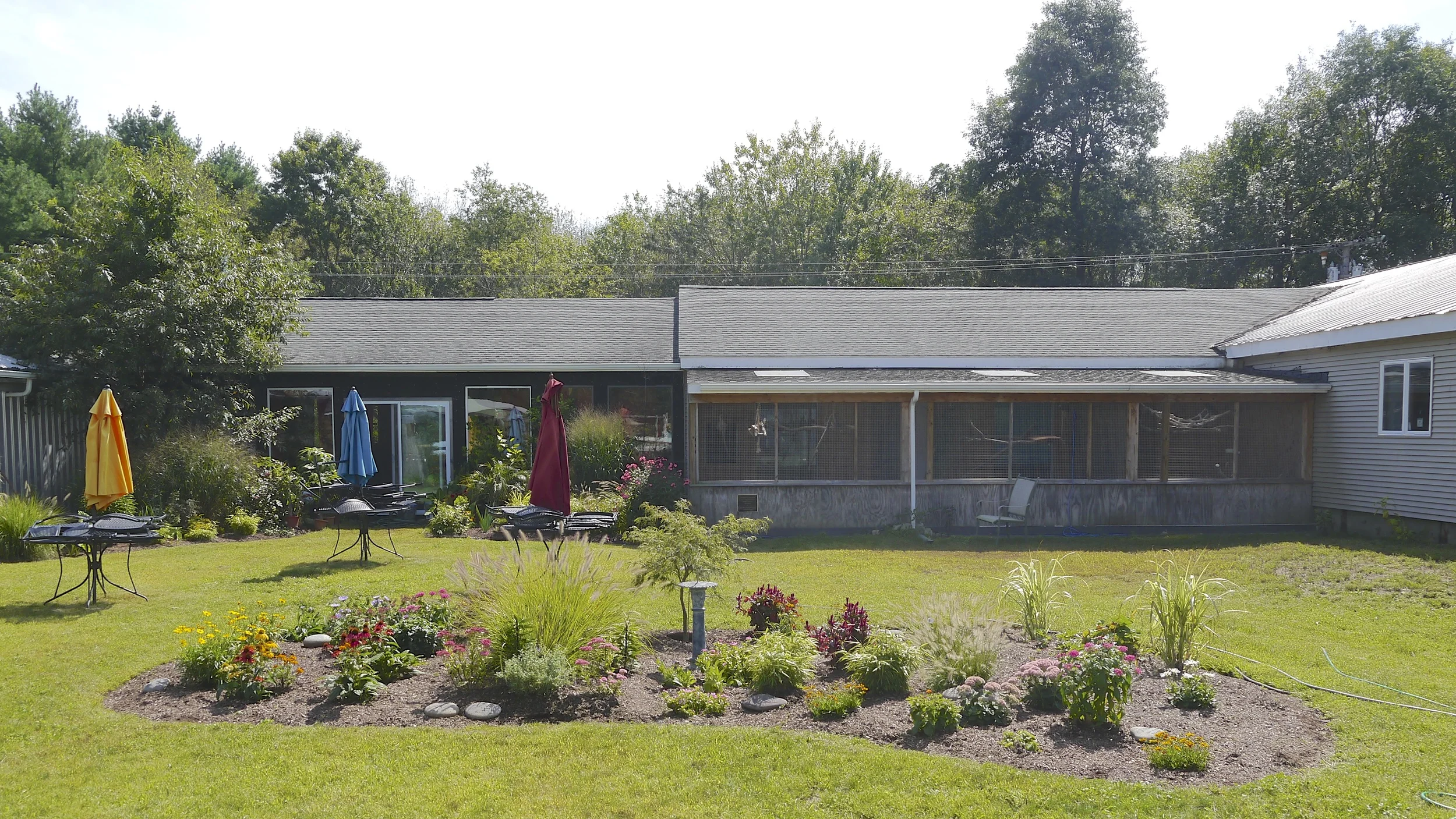 Foster Parrots - NEEWS Memorial Garden.jpg
