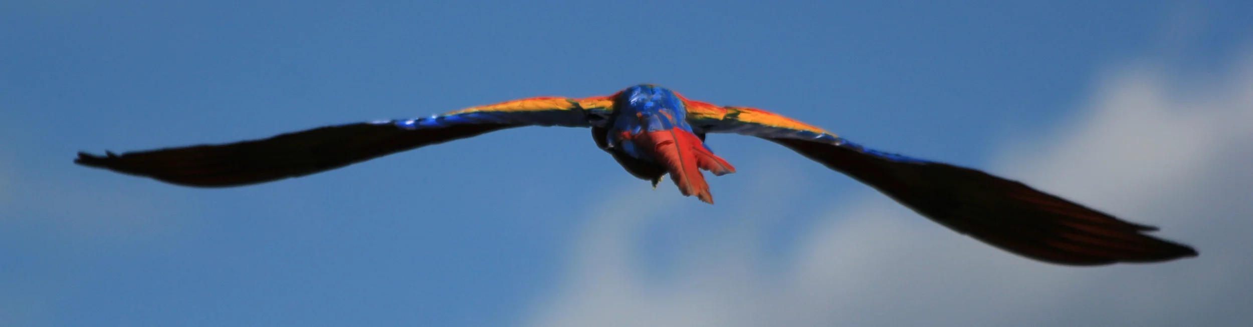 BestBanner.jpg